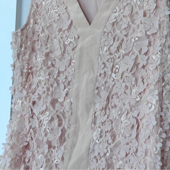 Badgley Mishka 3D Flower Embellished Floral Applique Baby Pink Lace Top Size 10 - Picture 6 of 13
